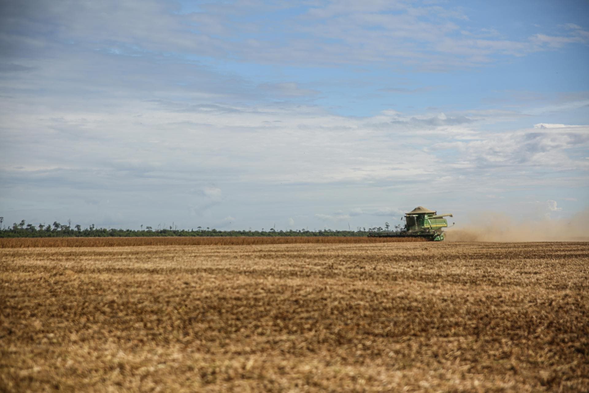 A combine harvester cutting a golden crop field under a wide blue sky